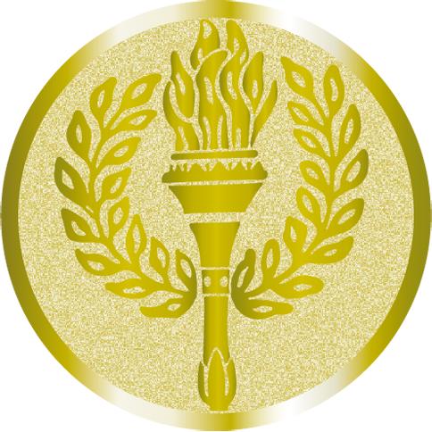 Жетон №977 (Факел, олимпиада, диаметр 25 мм, цвет золото)
