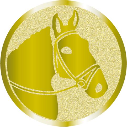 Жетон №1020 (Конный спорт, диаметр 25 мм, цвет золото)
