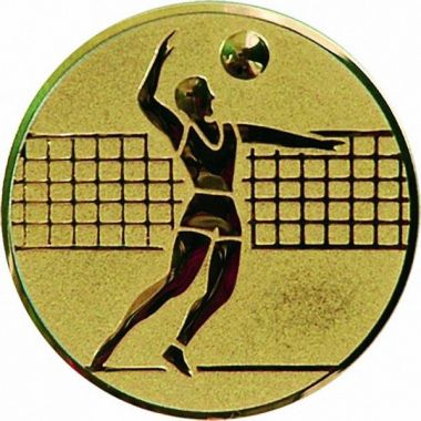 Эмблема D1-A6/G волейбол (D-25 мм)