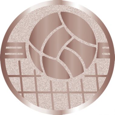 Жетон №1051 (Волейбол, диаметр 25 мм, цвет бронза)