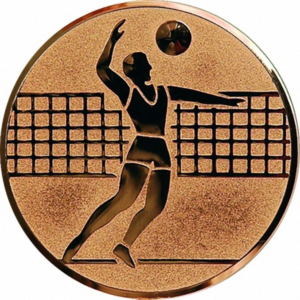 Эмблема D1-A6/В волейбол (D-25 мм)