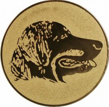Жетон №67 (Выставки собак (собаководство, цвет золото), диаметр 50 мм, цвет золото)