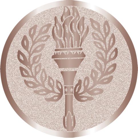 Жетон №977 (Факел, олимпиада, диаметр 25 мм, цвет бронза)