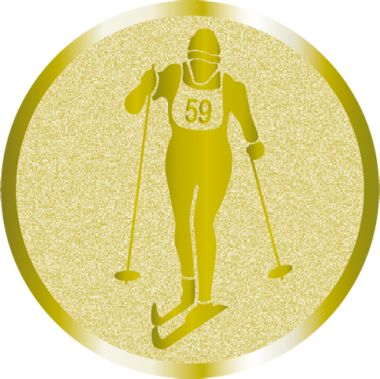 Жетон №1038 (Беговые лыжи, диаметр 25 мм, цвет золото)