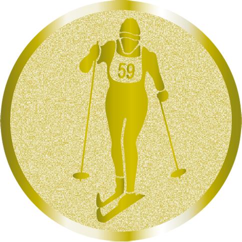 Жетон №1038 (Лыжный спорт, диаметр 25 мм, цвет золото)