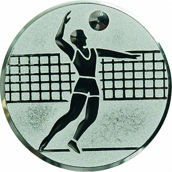 Эмблема D1-A6/S волейбол (D-25 мм)