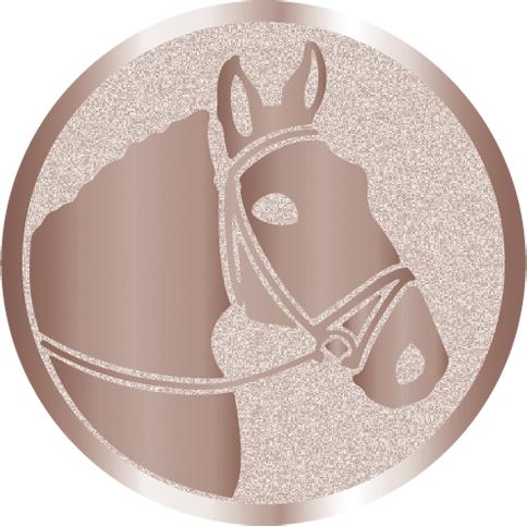 Жетон №1020 (Конный спорт, диаметр 25 мм, цвет бронза)