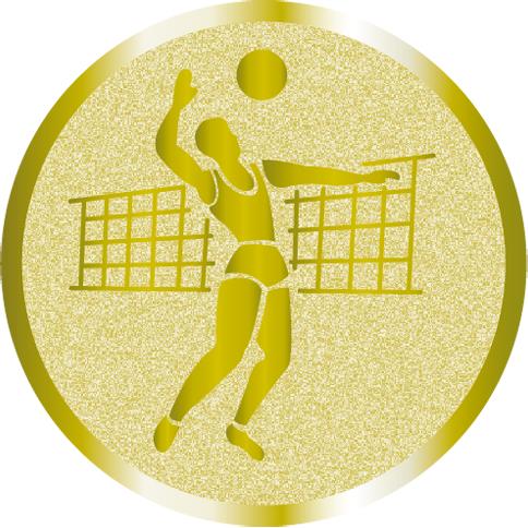 Жетон №988 (Волейбол, диаметр 25 мм, цвет золото)