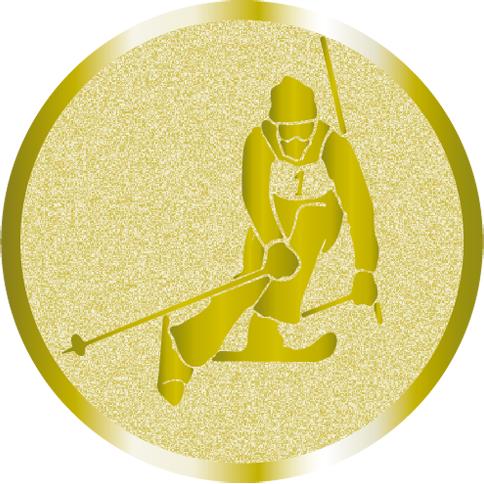 Жетон №1035 (Лыжный спорт, диаметр 25 мм, цвет золото)