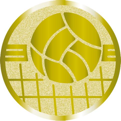 Жетон №1051 (Волейбол, диаметр 50 мм, цвет золото)