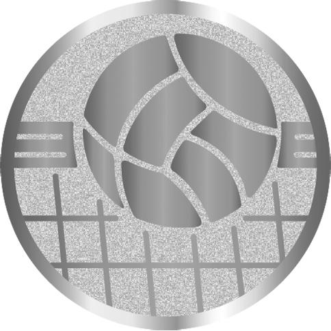 Жетон №1051 (Волейбол, диаметр 25 мм, цвет серебро)