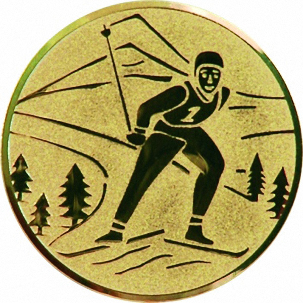 Эмблема D2-A94/G лыжные гонки (D-50 мм)