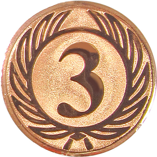 Жетон №9 (3 место, диаметр 50 мм, цвет бронза)
