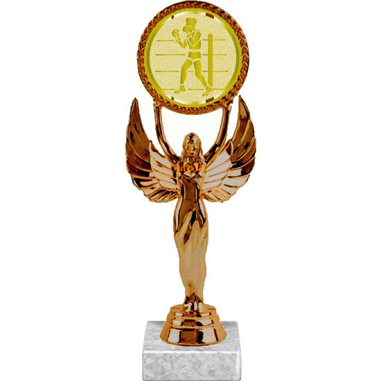 фигурка №571-33 (бокс, высота 20 см (фигурка, жетон для вклейки плюс цоколь и крепёж)) фигурка №571-33 (бокс, высота 20 см (фигурка, жетон для вклейки плюс цоколь и крепёж))
