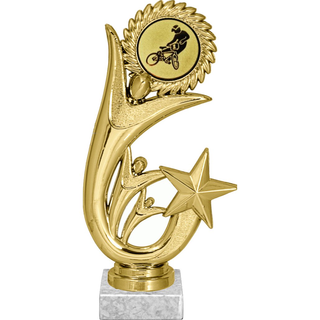 фигурка №612-1158 (bmx, высота 20 см (фигурка, жетон для вклейки плюс цоколь и крепёж)) фигурка №612-1158 (bmx, высота 20 см (фигурка, жетон для вклейки плюс цоколь и крепёж))