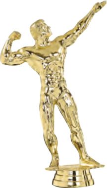 Фигурка №973 (Культуризм, Бодибилдинг, Пауэрлифтинг, высота 15,9 см, цвет золото, пластик)