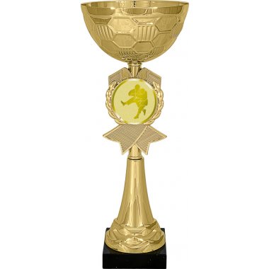 Кубок №1025-73 (Дзюдо, высота 27 см (Кубок плюс жетон для вклейки))