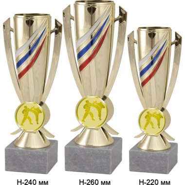 Комплект кубков №1028-5229 (Каратэ, высота 26, 24, 22 см (Три кубка плюс три жетона для вклейки)) (Размер табличек: 65x35 мм, 55x15 мм, 55x15 мм)