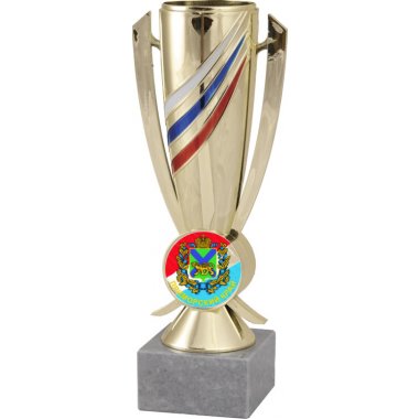 Кубок №1199-5229 (Приморский край, высота 24 см (Кубок плюс жетон для вклейки)) (Размер табличек: 55x15 мм)