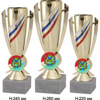 Комплект кубков №1199-5229 (Приморский край, высота 26, 24, 22 см (Три кубка плюс три жетона для вклейки)) (Размер табличек: 65x35 мм, 55x15 мм, 55x15 мм)