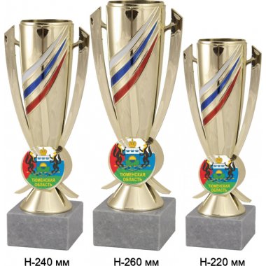 Комплект кубков №1204-5229 (Тюменская область, высота 26, 24, 22 см (Три кубка плюс три жетона для вклейки)) (Размер табличек: 65x35 мм, 55x15 мм, 55x15 мм)