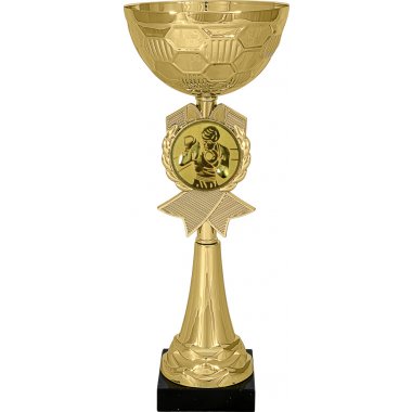 Кубок №18-73 (Бокс, высота 30 см (Кубок плюс жетон для вклейки))