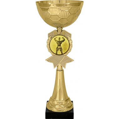 Кубок №32-73 (Бодибилдинг, высота 30 см (Кубок плюс жетон для вклейки))