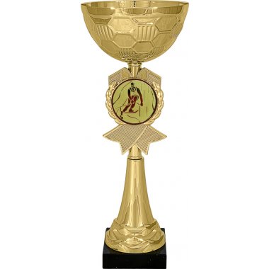 Кубок №33-73 (Лыжный спорт, высота 27 см (Кубок плюс жетон для вклейки))