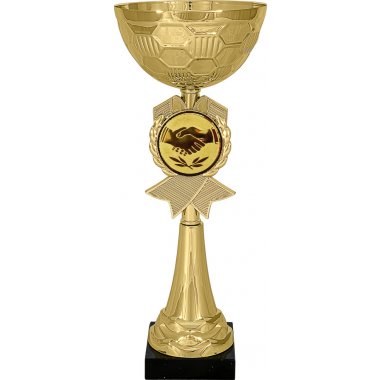 Кубок №63-73 (Товарищеская встреча, высота 27 см (Кубок плюс жетон для вклейки))