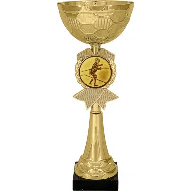 Кубок №72-73 (Фехтование, высота 30 см (Кубок плюс жетон для вклейки))