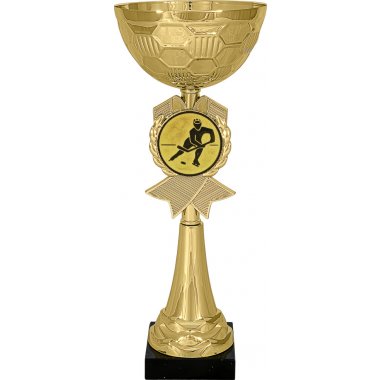 Кубок №75-73 (Хоккей, высота 30 см (Кубок плюс жетон для вклейки))