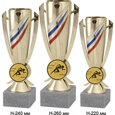 Комплект кубков №78-5229 (Бег, высота 26, 24, 22 см (Три кубка плюс три жетона для вклейки)) (Размер табличек: 65x35 мм, 55x15 мм, 55x15 мм)