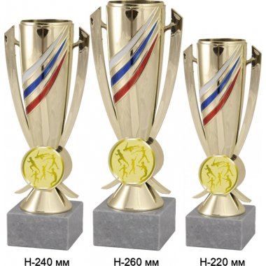 Комплект кубков №980-5229 (Лёгкая атлетика, высота 26, 24, 22 см (Три кубка плюс три жетона для вклейки)) (Размер табличек: 65x35 мм, 55x15 мм, 55x15 мм)
