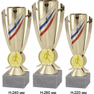 Комплект кубков №989-5229 (Бег, высота 26, 24, 22 см (Три кубка плюс три жетона для вклейки)) (Размер табличек: 65x35 мм, 55x15 мм, 55x15 мм)
