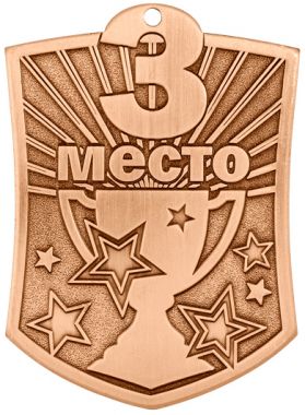 Медаль №2463 (3 место, размер 51x70 мм, металл, цвет бронза)