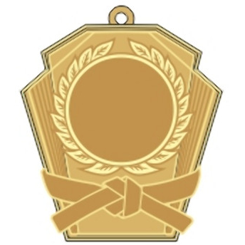 Медаль №2467 (Кимоно, размер 50x53 мм, металл, цвет золото. Место для вставок: лицевая диаметр 25 мм, обратная сторона размер по шаблону)