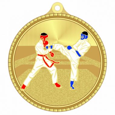 Медаль №3278 (Тхэквондо, диаметр 55 мм, металл, цвет золото. Место для вставок: обратная сторона диаметр 40 мм)