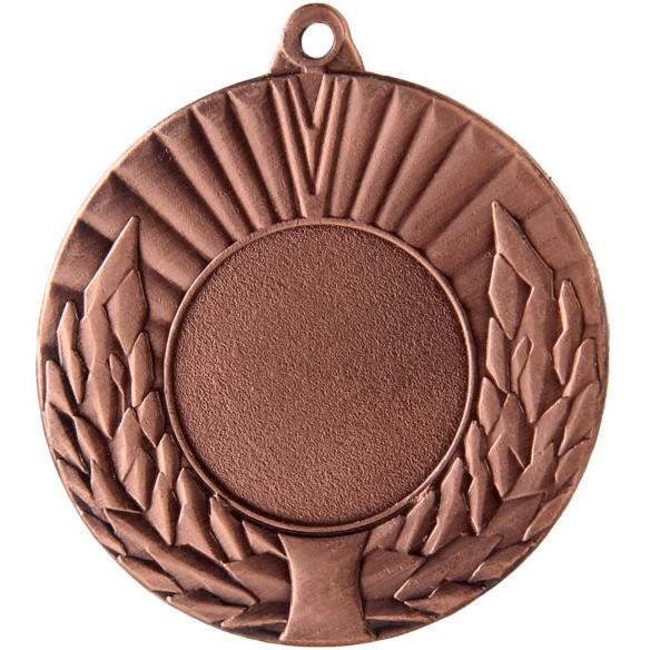 Медаль №68 (Диаметр 50 мм, металл, цвет бронза. Место для вставок: лицевая диаметр 25 мм, обратная сторона диаметр 46 мм)