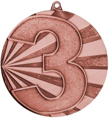 Медаль №122 (3 место, диаметр 70 мм, металл, цвет бронза. Место для вставок: обратная сторона диаметр 65 мм)