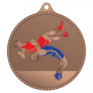 Медаль №3602 (Борьба, диаметр 55 мм, металл, цвет бронза. Место для вставок: обратная сторона диаметр 40 мм)
