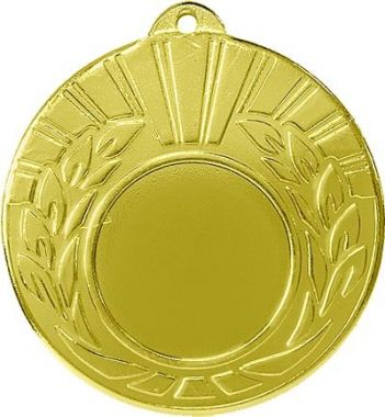 Медаль №179 (Диаметр 50 мм, металл, цвет золото. Место для вставок: лицевая диаметр 25 мм, обратная сторона диаметр 45 мм)