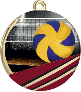 Медаль №2256 (Волейбол, диаметр 50 мм, металл, цвет золото)