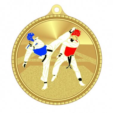 Медаль №3611 (Тхэквондо, диаметр 50 мм, металл, цвет золото. Место для вставок: обратная сторона диаметр 45 мм)