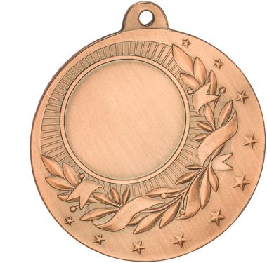 Медаль №2243 (Диаметр 50 мм, металл, цвет бронза. Место для вставок: лицевая диаметр 25 мм, обратная сторона диаметр 45 мм)