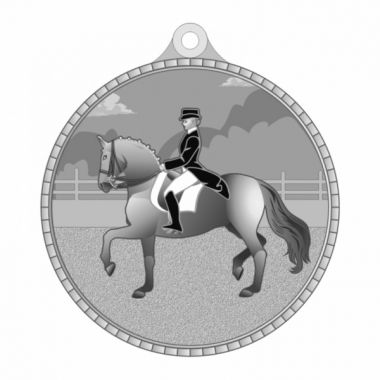 Медаль №3283 (Конный спорт, диаметр 55 мм, металл, цвет серебро. Место для вставок: обратная сторона диаметр 40 мм)