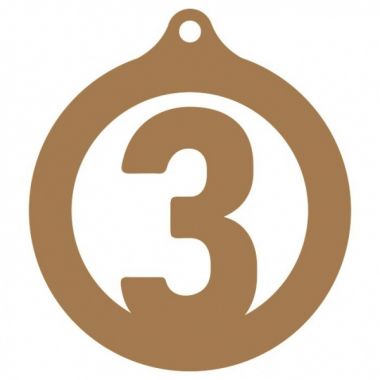 Медаль №3564 (3 место, диаметр 50 мм, металл, цвет бронза. Место для вставок: обратная сторона размер по шаблону)