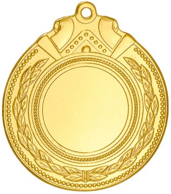 Медаль №2234 (Диаметр 50 мм, металл, цвет золото. Место для вставок: лицевая диаметр 25 мм, обратная сторона диаметр 45 мм)
