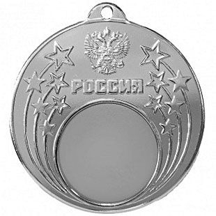 Медаль №182 (Диаметр 50 мм, металл, цвет серебро. Место для вставок: лицевая диаметр 25 мм, обратная сторона диаметр 45 мм)