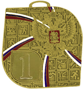 Медаль №3633 (1 место, размер 70x70 мм, металл, цвет золото)