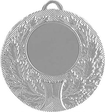 Медаль №192 (Диаметр 50 мм, металл, цвет серебро. Место для вставок: лицевая диаметр 25 мм, обратная сторона диаметр 45 мм)